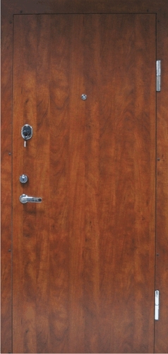 Domremus šarvuotos durys